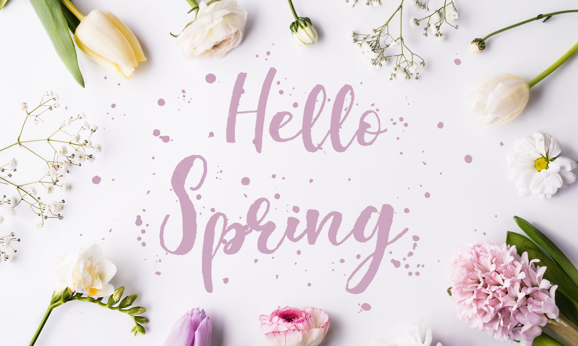Hello spring phrase and flowers on a white background. Studio shot. Flat lay.