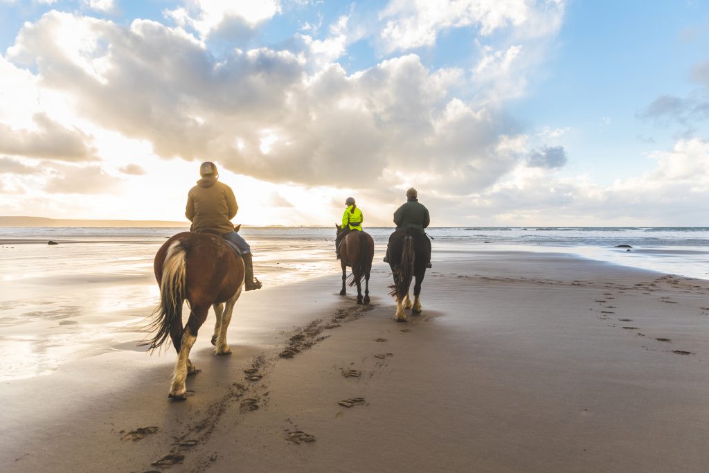 People horse riding on the beach. Three persons with horses at seaside, rear view with beautiful backlight. Sport, leisure and travel concepts